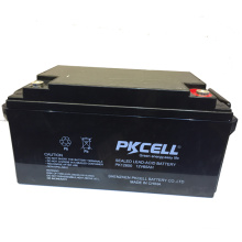 PKCELL ISO CE SGS UL ups inverter battery charger battery for 12v 65ah